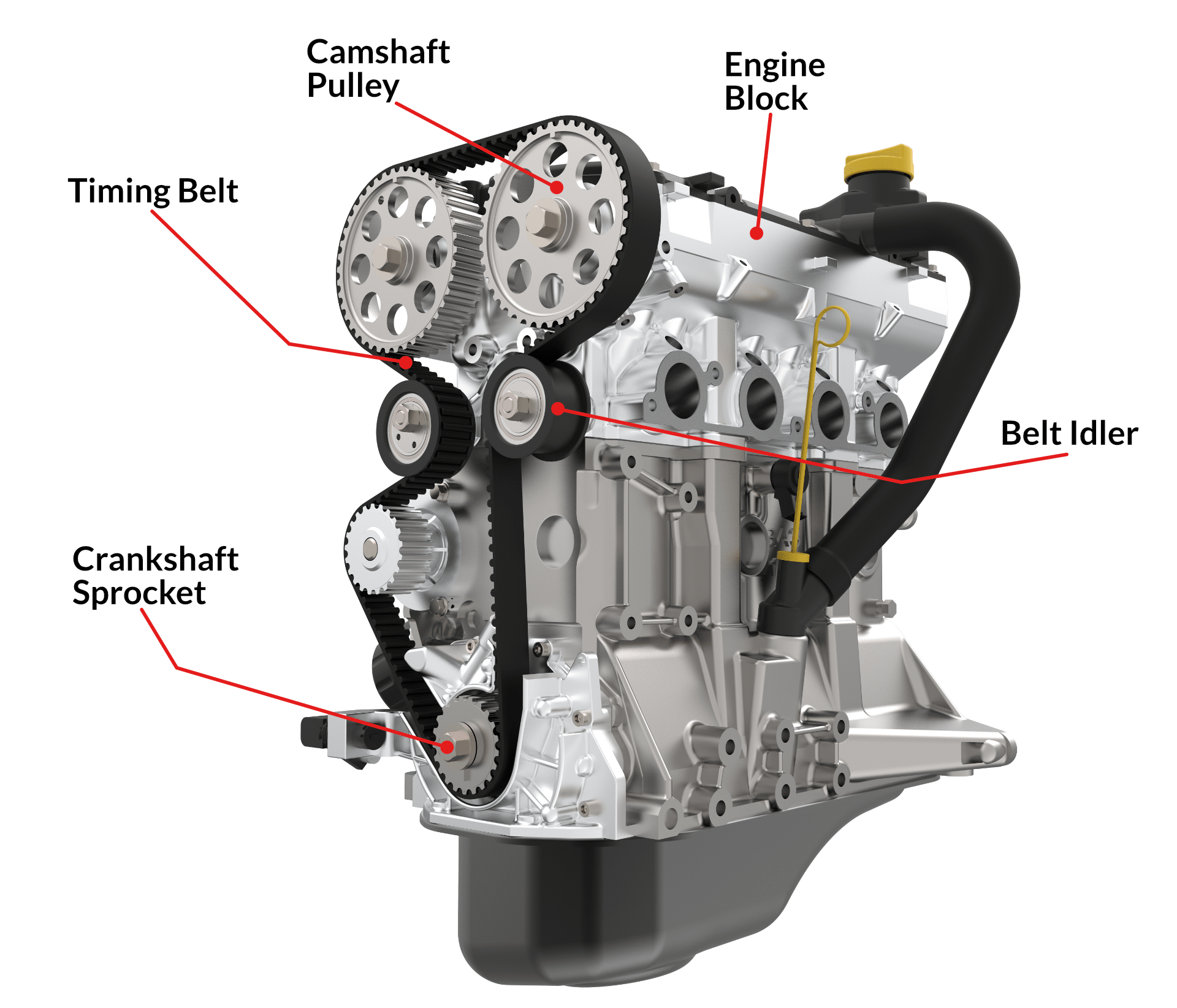 Timing belt